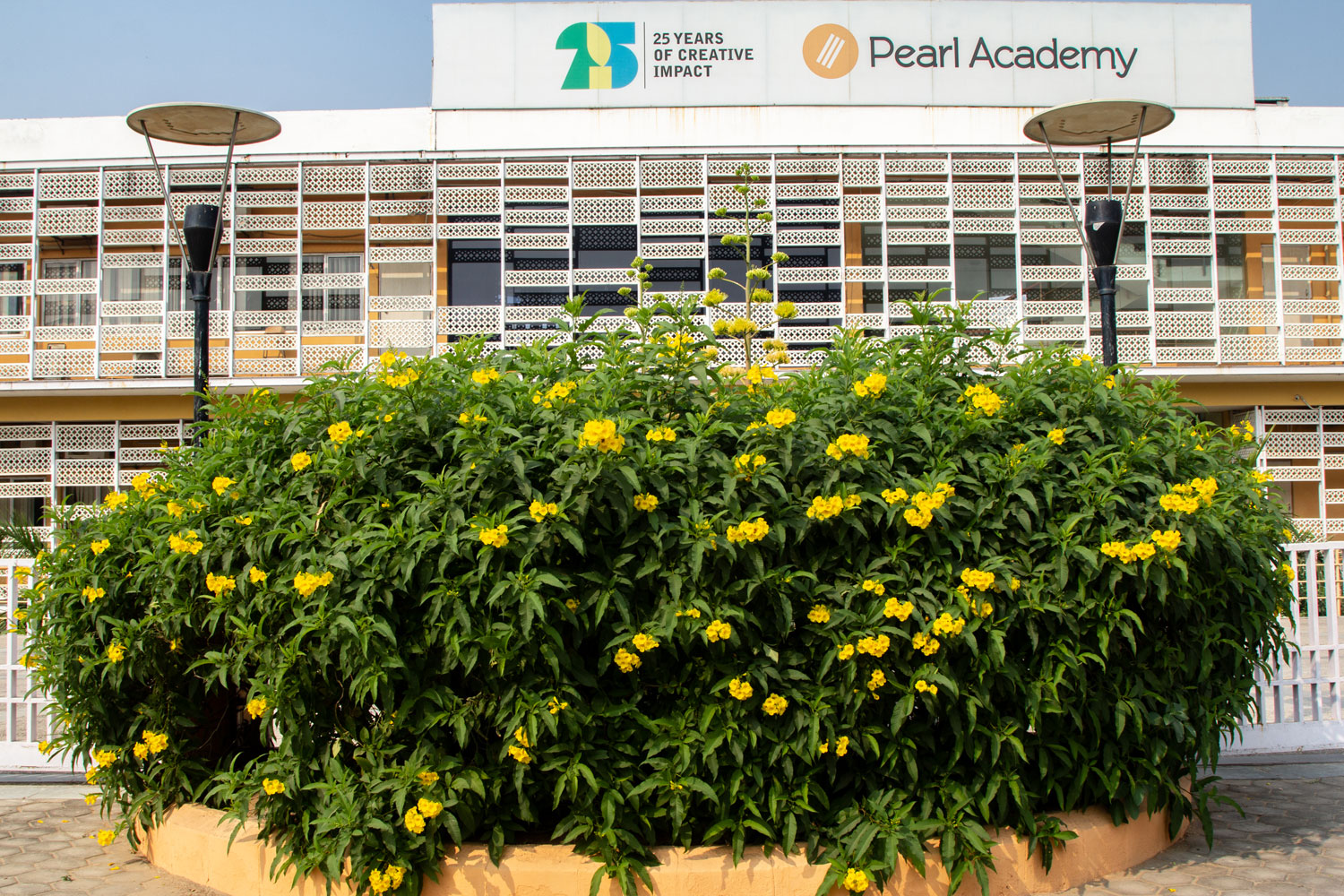Pearl Academy